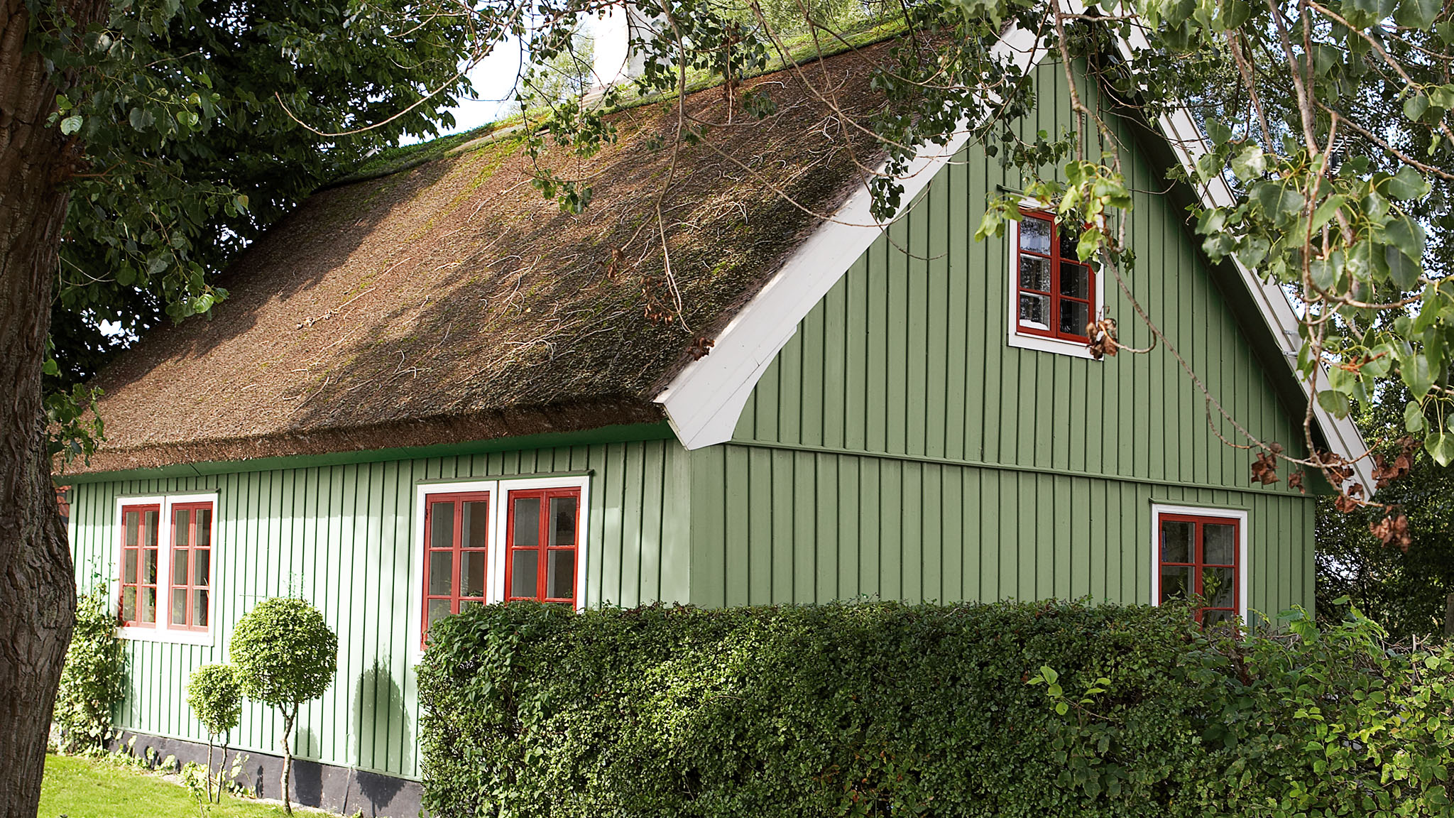 grønn husfarge Grønn husfarge