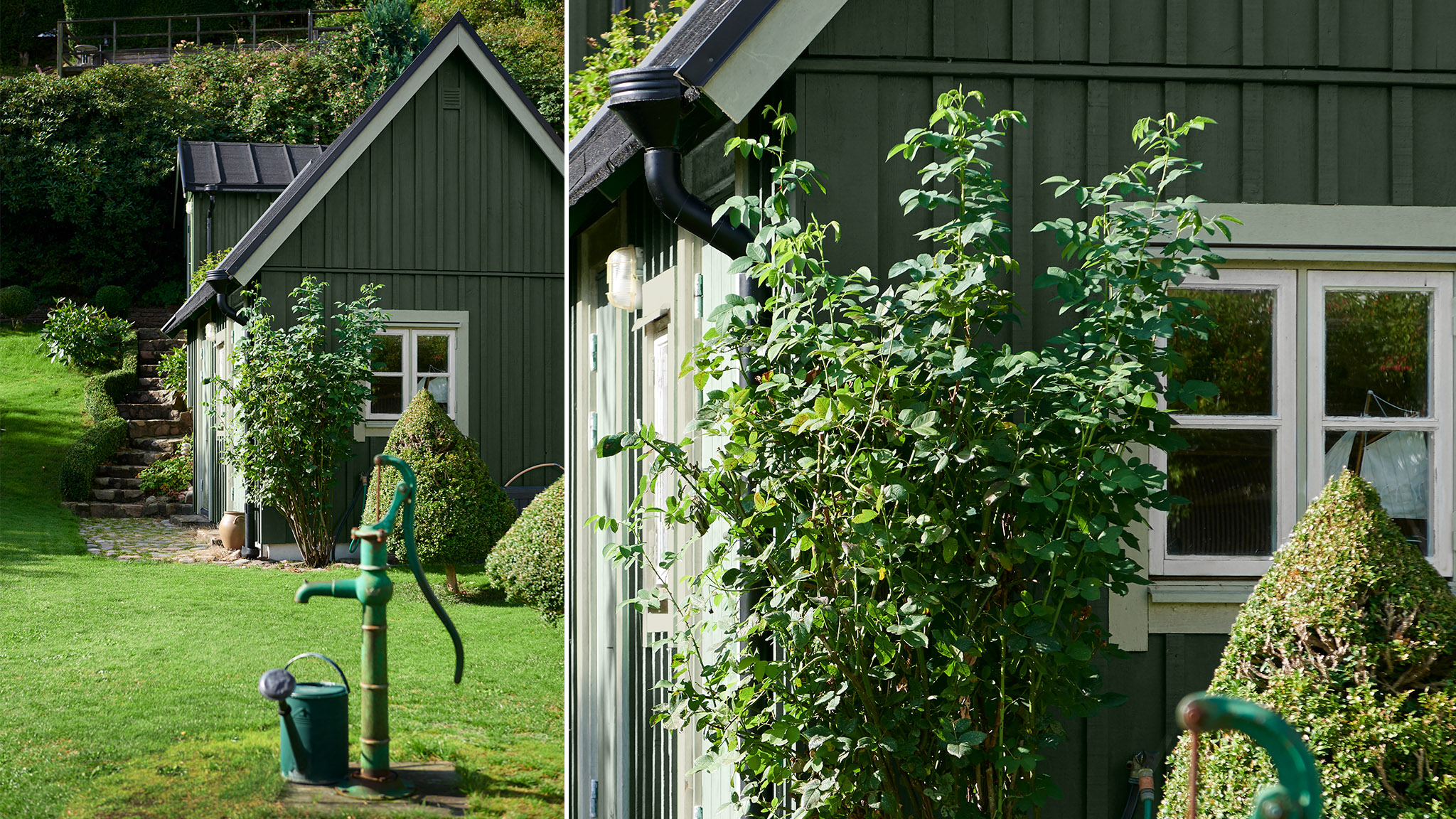 Grønt hus i skogen Grønt hus i skogen