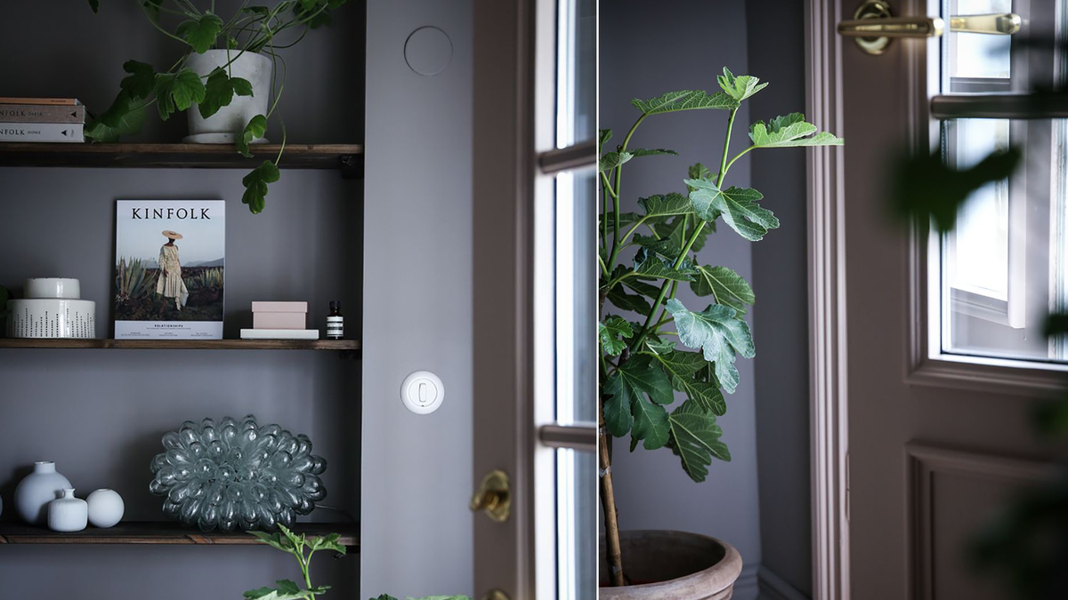Planter Planter